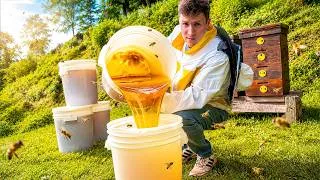 Thumbnail: We Harvested 450 KG of Liquid Gold! 3 Days of Hard Work & Baking