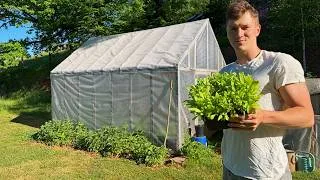 Thumbnail: How is Life on a 6-Acre European Farm? 🌿 Gardening & Building