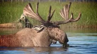 Thumbnail: Cariboo Chilcotin Coast Adventures: BC Field Reporter