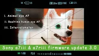 Thumbnail: Sony a7iii and a7riii firmware 3.0 review || The animal eye autofocus