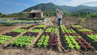Thumbnail: A journey through the garden for a greener summer