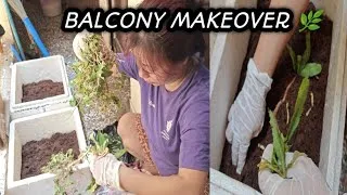 Thumbnail: 🌱Mini Balcony Garden Makeover | Planting Vlog 🌿