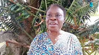 Thumbnail: Scarcity of Qualified Teachers at Private Primary schools worry Stakeholders