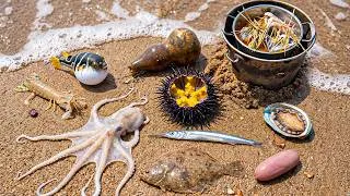 Thumbnail: 🌊 INSANE Ocean Foraging 🐙 Octopus, 🦔 Sea Urchin, 🐡 Pufferfish, 🥒 Sea Cucumber & 🦐 Mantis Shrim