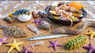 Thumbnail: 🌊 INSANE Ocean Foraging 🐍 River Eel, 🐟 Swordfish, 🐡 Pufferfish, 🦐 Mantis Shrimp, 🦑 Squid