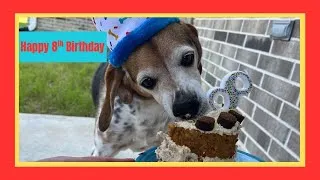 Thumbnail: Bash’s 8th Birthday