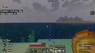Thumbnail: My First Hardcore World Day 4