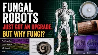 Thumbnail: Fungal Robots Just Got an Upgrade. But Why Fungi?