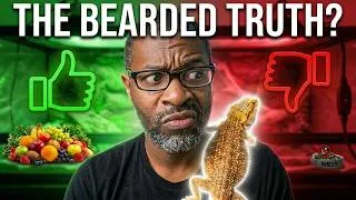 Thumbnail: Bearded Dragon Pros And Cons