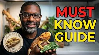 Thumbnail: Bearded Dragon And Everything You Need To Know
