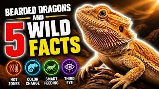 Thumbnail: Bearded Dragons And 5 Wild Facts