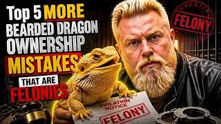 Thumbnail: Top 5 MORE Bearded Dragon Ownership Mistakes That Are Felonies