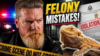 Thumbnail: Bearded Dragon Ownership Mistakes That Are Felonies