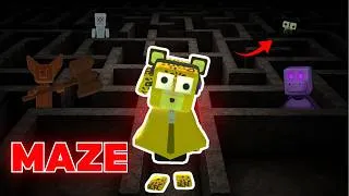 Thumbnail: The HARDEST SBA Maze Ever!