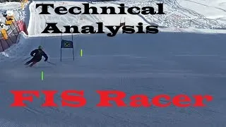 Thumbnail: Analysing a FIS Racer (Freeskiing and Gates)