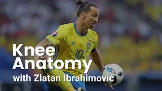 Thumbnail: Learn about Knee Anatomy with Zlatan Ibrahimović