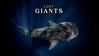 Thumbnail: Secrets of the Giant Sharks | Into the Deep Ocean