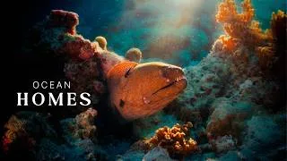 Thumbnail: Undersea Homes | Builders of the Ocean