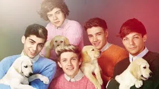 Thumbnail: one direction just... barking