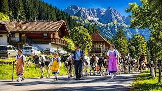 Thumbnail: Living in Switzerland | Inside Lauterbrunnen's Daily Life