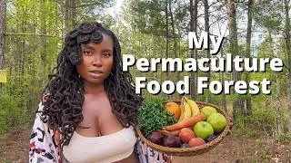 Thumbnail: My 87 Acre Permaculture Food Forest..Design My Food Forest With Me!