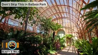 Thumbnail: Balboa Park Gardens Loop | The Most Beautiful Video I've Ever Made