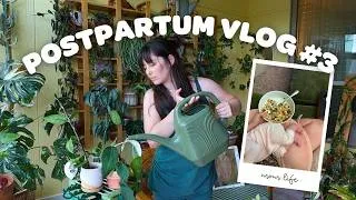 Thumbnail: POSTPARTUM VLOG #3 | plant chores, organizing my fabric, & nature walks!