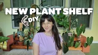 Thumbnail: I Built a Plant Shelf for My Growing Houseplant Collection 🪴✨