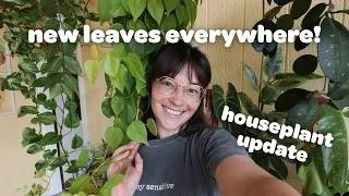 Thumbnail: summer houseplant update everything is growing like crazy!