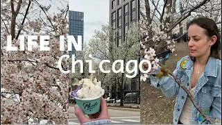 Thumbnail: spring in in chicago🌷 cherry blossoms, cute new spots & warmer weather