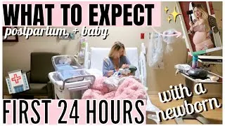 Thumbnail: NEWBORNS FIRST 24 HOURS | WHAT TO EXPECT AFTER BIRTH 2024