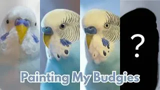 Thumbnail: Painting My Budgies