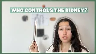 Thumbnail: Kidney Hormones Explained for Vet Students | ADH, RAAS & ANP