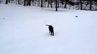 Thumbnail: Bronson snow