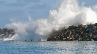 Thumbnail: Massive 20' Swell destroys beaches and creates Rare Weird surf waves !!!