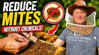 Thumbnail: Beekeeping: I Used My Queen to Fight Varroa | NO CHEMICALS!
