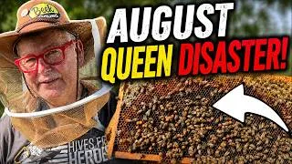 Thumbnail: Beekeeping | My Queen Became a Drone Layer… CAN I SAVE THE HIVE?
