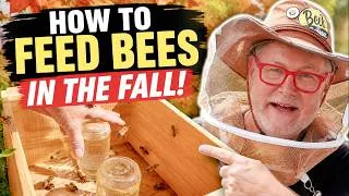 Thumbnail: Beekeeping Fall Feeding: Do THIS Now to Prepare Your Bees for Winter
