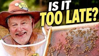 Thumbnail: Beekeeping: Is It Too Late For Bees To Do This in August?