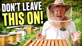 Thumbnail: Beekeeping: It’s Definitely Time to Make This Change