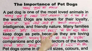 Thumbnail: The importance of pet dogs / How to take care of pet 🐕 / English learning Videos/