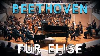 Thumbnail: Beethoven - Für Elise - Berliner Philharmonie | Piano & Orchestra