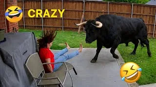 Thumbnail: TRY NOT TO LAUGH 🤣 Top 100 Funniest Videos Ever | Memes Epic Fails & Pranks Compilation 2026 EP 03