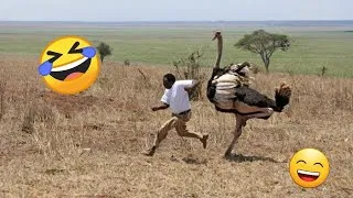 Thumbnail: TRY NOT TO LAUGH 😆 Best Funny Videos | Fails Compilation 😂😁😆 Memes Of 2026 EP 02
