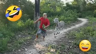 Thumbnail: 150 Top Funniest Videos Of The Month || Try Not To Laugh Impossible