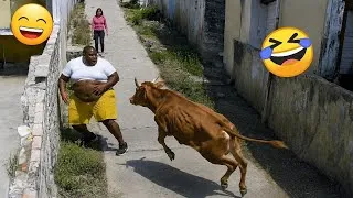 Thumbnail: 200 Top Funniest Videos Around The Globe || Try Not To Laugh Ultimate Challenge Ep 06
