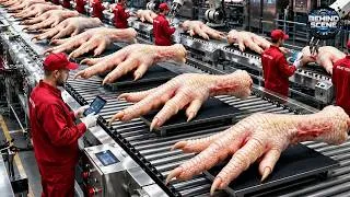 Thumbnail: Inside the Secret Factory Making Soap from Chicken Feet!