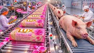 Thumbnail: Inside the Secret Factory That Makes Your Daily Soap