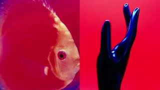 Thumbnail: Miki Berenyi Trio - Doldrum Days (Official Video)