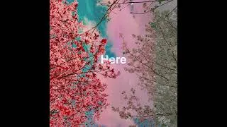 Thumbnail: "Here" by Bell Plaines (Official Audio)